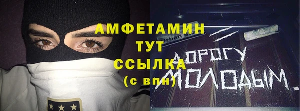 мет Алексин