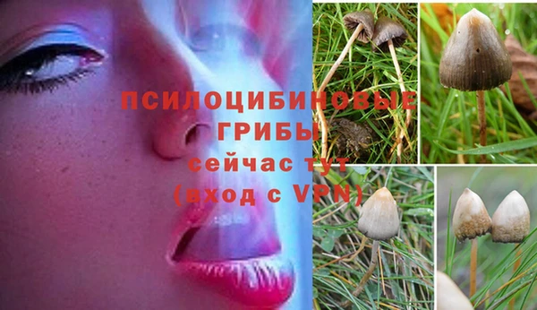 дистиллят марихуана Алексеевка