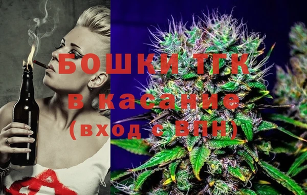 мет Алексин