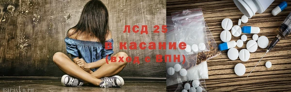 мет Алексин