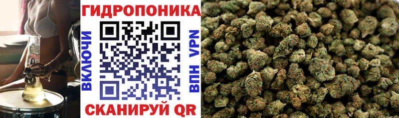 Конопля ГИДРОПОН купить закладку Ухта